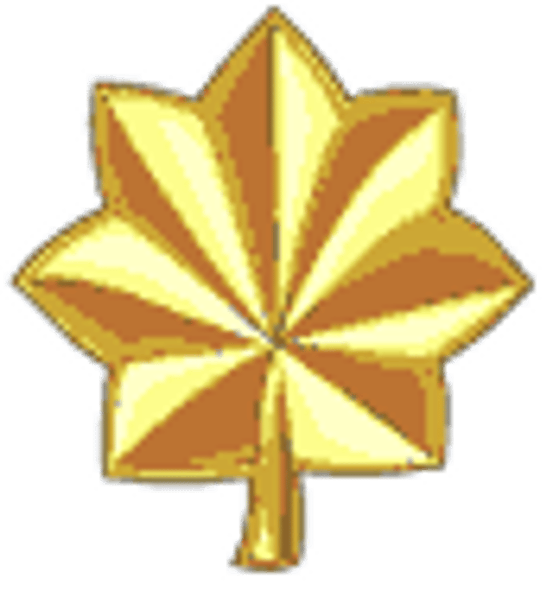 <p>O-4 (USAF, Army, USMC)</p>