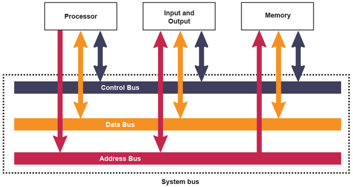 <p>Control signal/bus<br>Data Bus<br>Address bus</p>