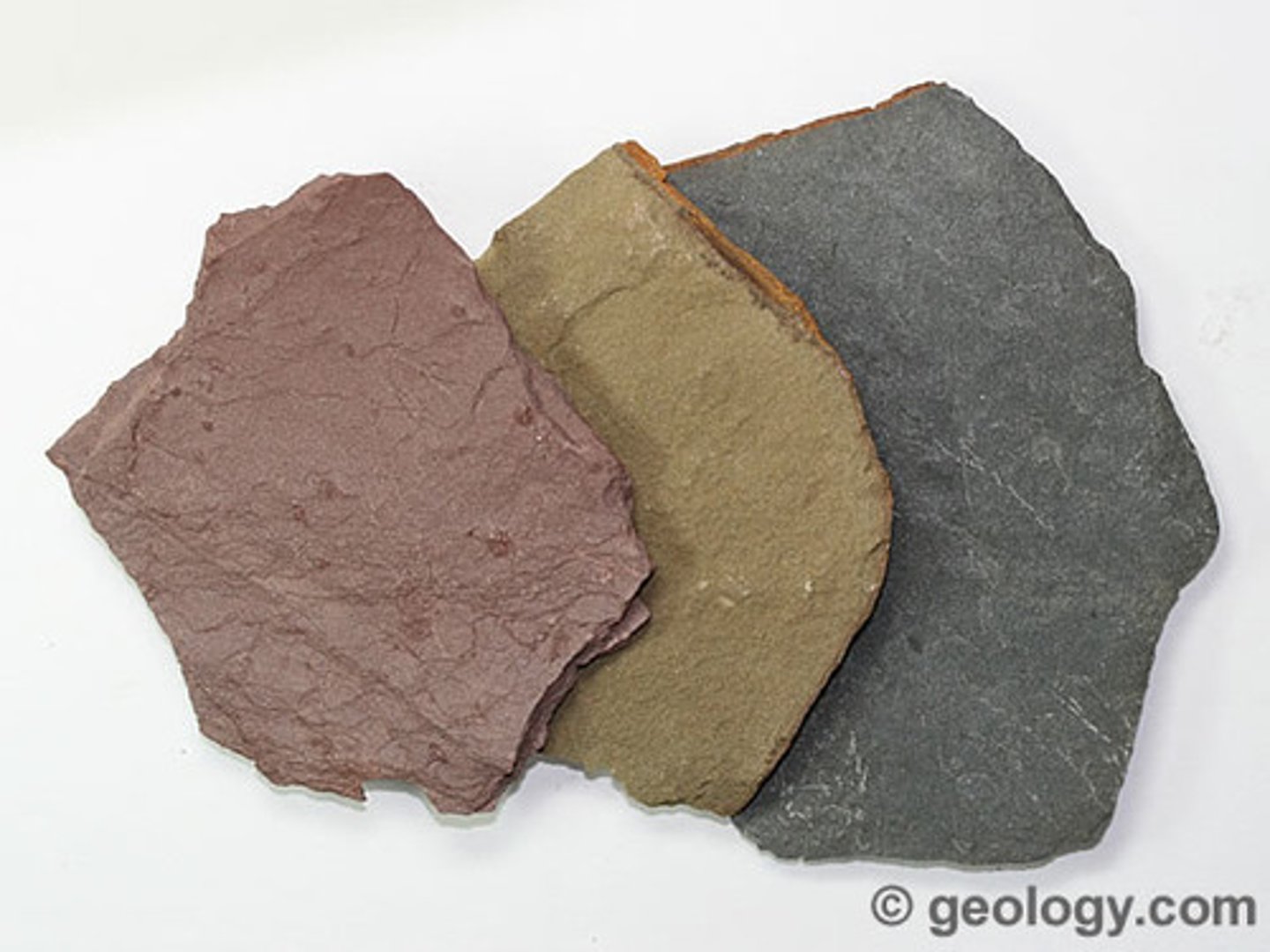 <p>sedimentary rock, fine-grained, compacts from silt &amp; clay-size mineral particles (mud)</p>