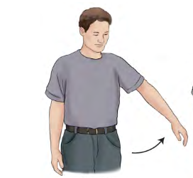 <p>Movement term </p>