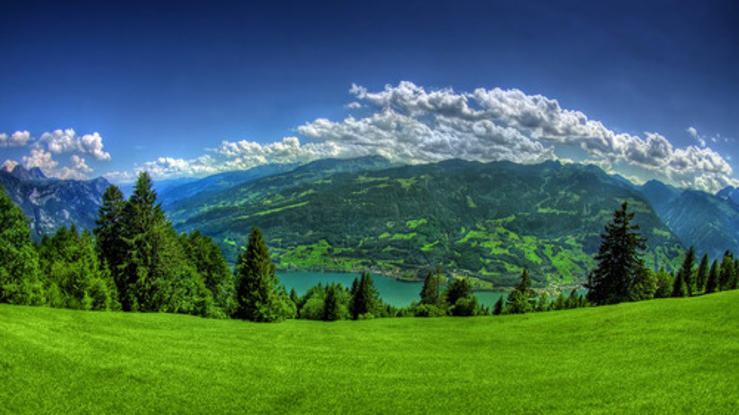 <p>nature</p>