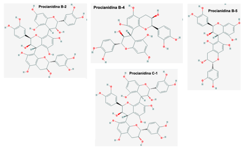<p>Bagas e folhas: taninos condensados (procianidinas)</p><p>+ contratilidade do músculo cardíaco e débito cardiaco (arritmias e antihipertensor). Problemas do sono (auxilia estados neurológicos) </p>