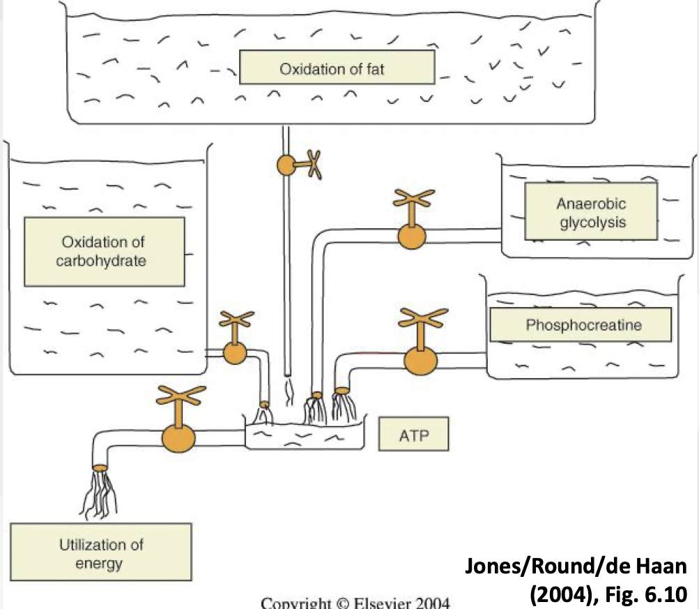 <p>Yes, it’s never exclusively one system</p><p></p>
