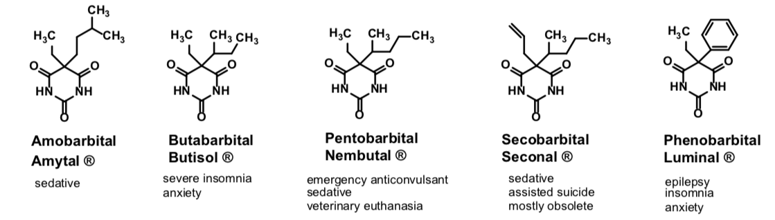 <p><span>Sedative hypnotics, anesthetic, anticonvulsant activities</span></p><p><span>Sedative hypnotic agents of choice until benzodiazepines discovered</span></p><p><span><em>Side effects: tolerance, dependence, withdrawal (seizures, respiratory spasm), memory impairment, potential for abuse, low therapeutic index</em></span></p><ul><li><p><span><em>overdose and death</em></span></p></li></ul><p><span><strong>No antidote to overdose!</strong></span></p>