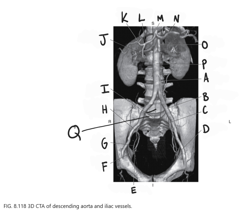 <p>What is K</p>