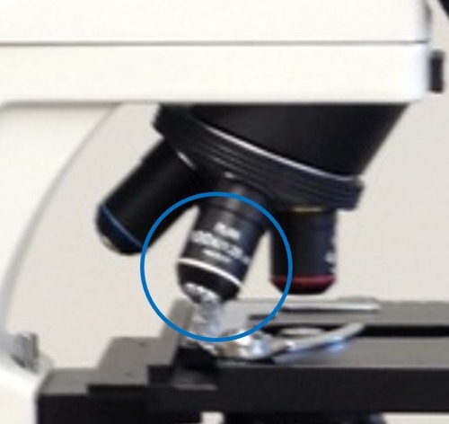 Calculate total magnification when using the circled objective lens
