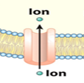 <p><strong>¿Qué tipo de transporte es el que se representa en la imagen? </strong></p>