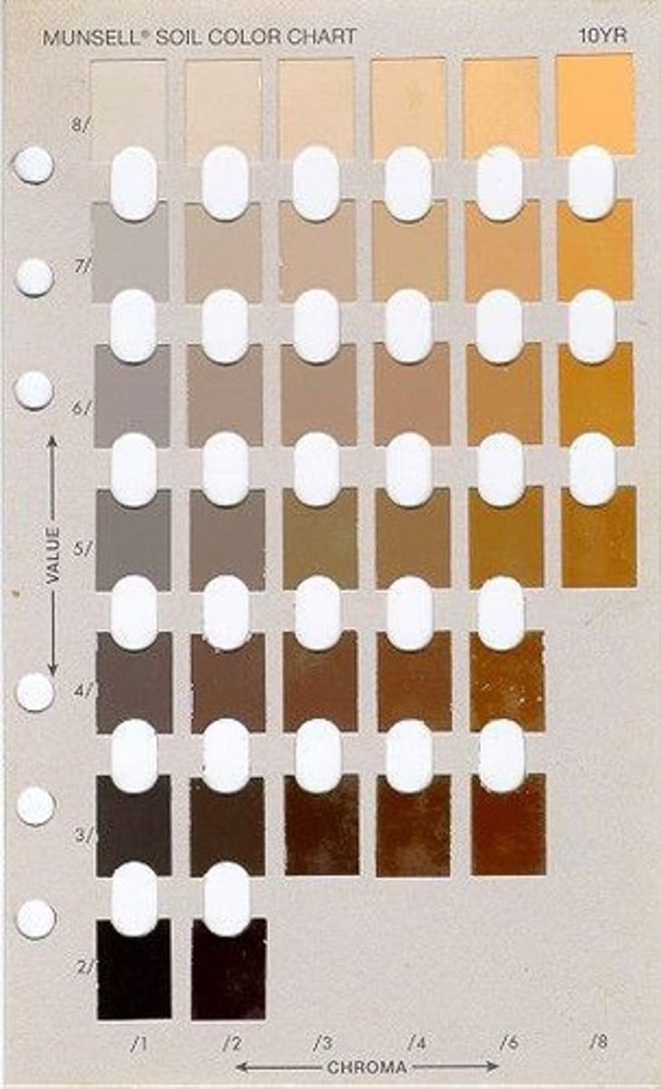 <p>It is used to determine the color of paint layers.</p>