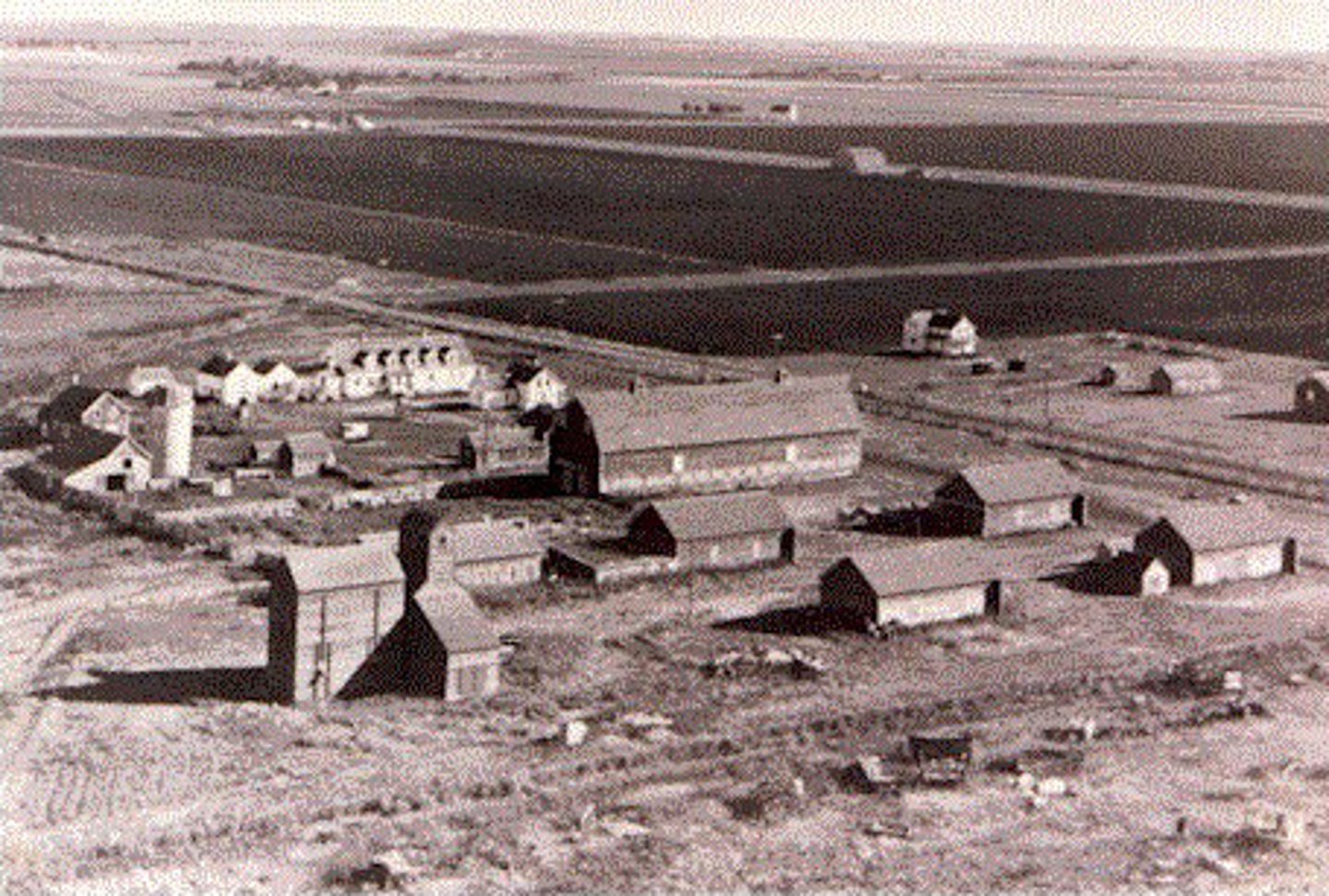 <p>To make more money, farmers often had to raise more crops. This in turn led to the growth of THESE single-crop farms.</p>