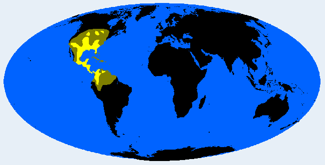 <p>Centralid</p>