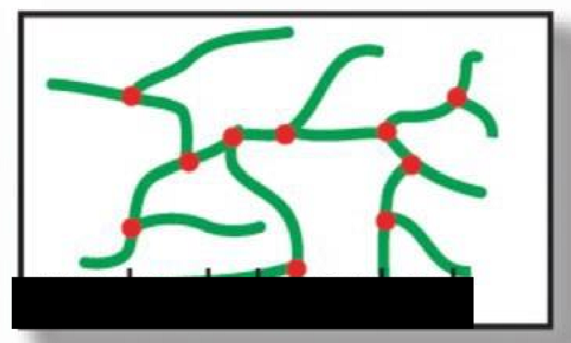 <p>Randomly branched</p>