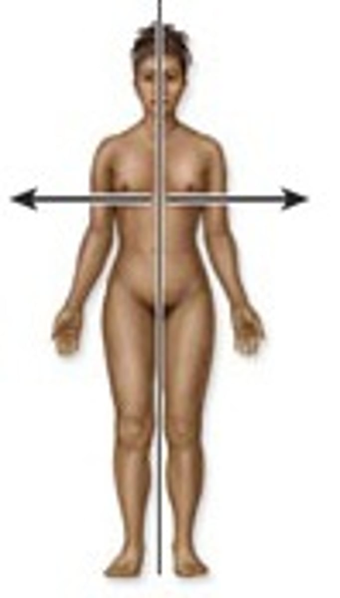 <p>Away from the midline of the body.</p><p>e.g., The ears are _____ to the eyes.</p>