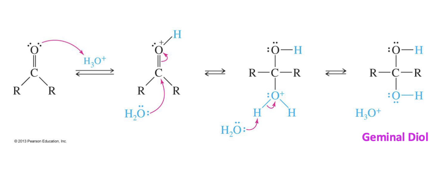 <p>Reagent: </p><ul><li><p>H<sub>3</sub>O&nbsp;</p></li><li><p>H<sub>2</sub>O</p></li></ul><p>Starting product&nbsp;</p><ul><li><p>Ketone or</p></li><li><p>Aldehyde&nbsp;</p></li></ul><p>Mechanism&nbsp;</p><ul><li><p>H<sub>3</sub>O give a hydrogen to O (oxygen)&nbsp;</p></li><li><p>Water (H<sub>2</sub>O) comes in and attacks carbon&nbsp;</p></li><li><p>Another water comes in and protonates ( The H that was from the water) &nbsp;</p></li></ul><p></p>