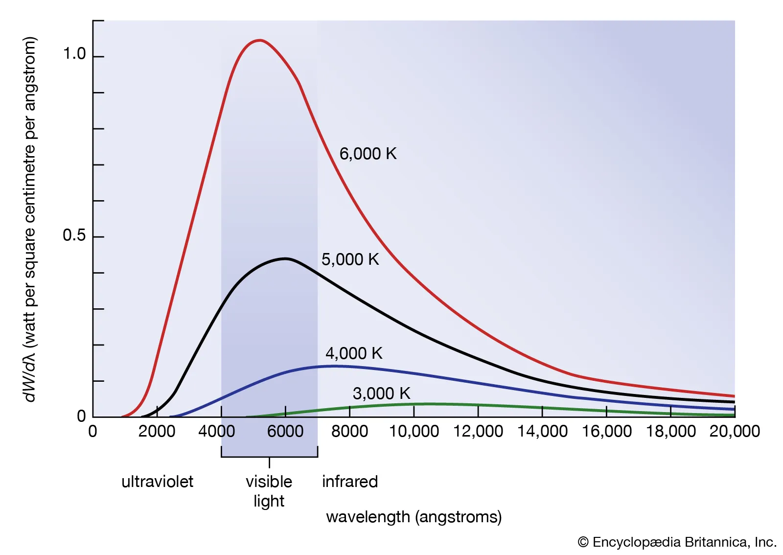 <ul><li><p>Energy level is quantized (in specific amounts) </p></li></ul><p></p>