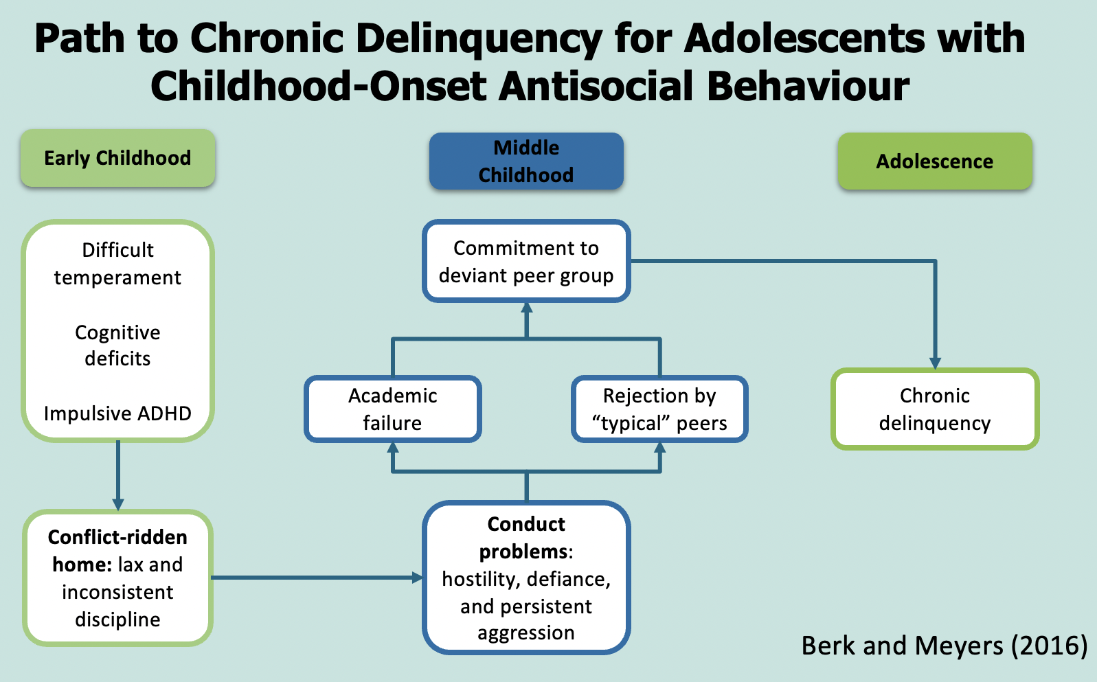 <p>Early Childhood:</p><ol><li><p>difficult temperament; cognitive deficits; ADHD-I </p></li></ol><p>→</p><ol start="2"><li><p>conflict-ridden home: lax and inconsistent discipline</p></li></ol><p></p><p>→</p><p></p><p>Middle Childhood:</p><ol start="3"><li><p>conduct problems: hostility, defiance, persistent aggression</p></li></ol><p>→</p><ol start="4"><li><p>academic failure and/or rejection by ‘typical’ peers</p></li></ol><p>→</p><ol start="5"><li><p>commitment to deviant peer group</p></li></ol><p></p><p>→</p><p></p><p>Adolescence:</p><ol start="6"><li><p>chronic delinquency</p></li></ol><p></p>