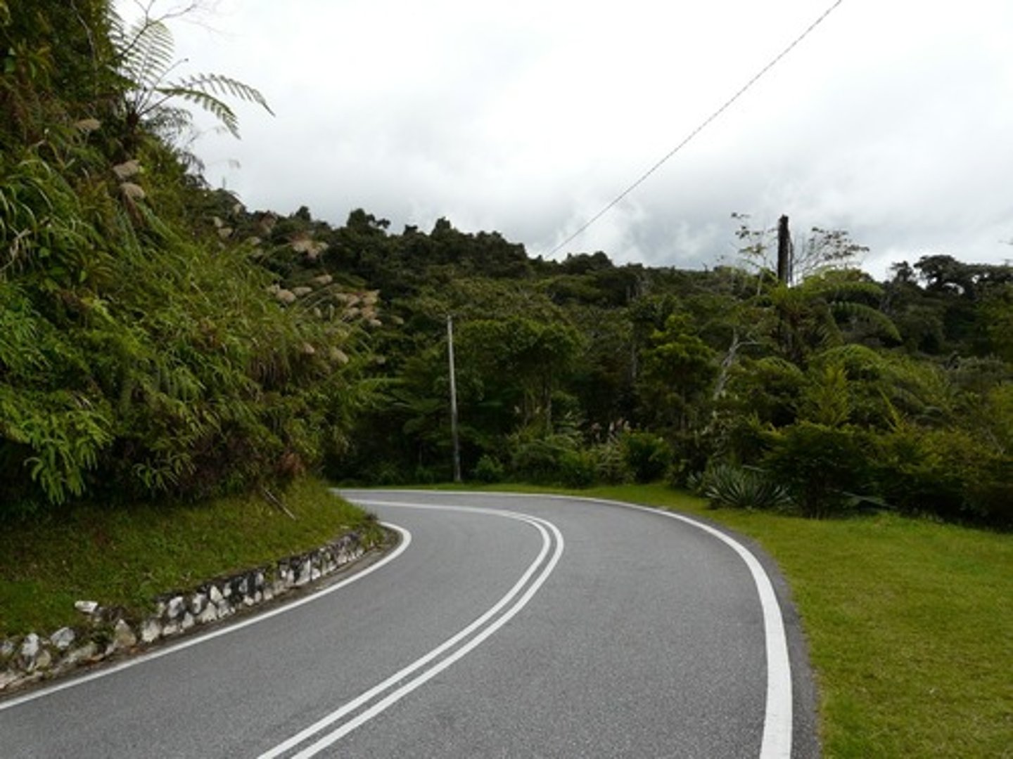 <p>street, streets</p>