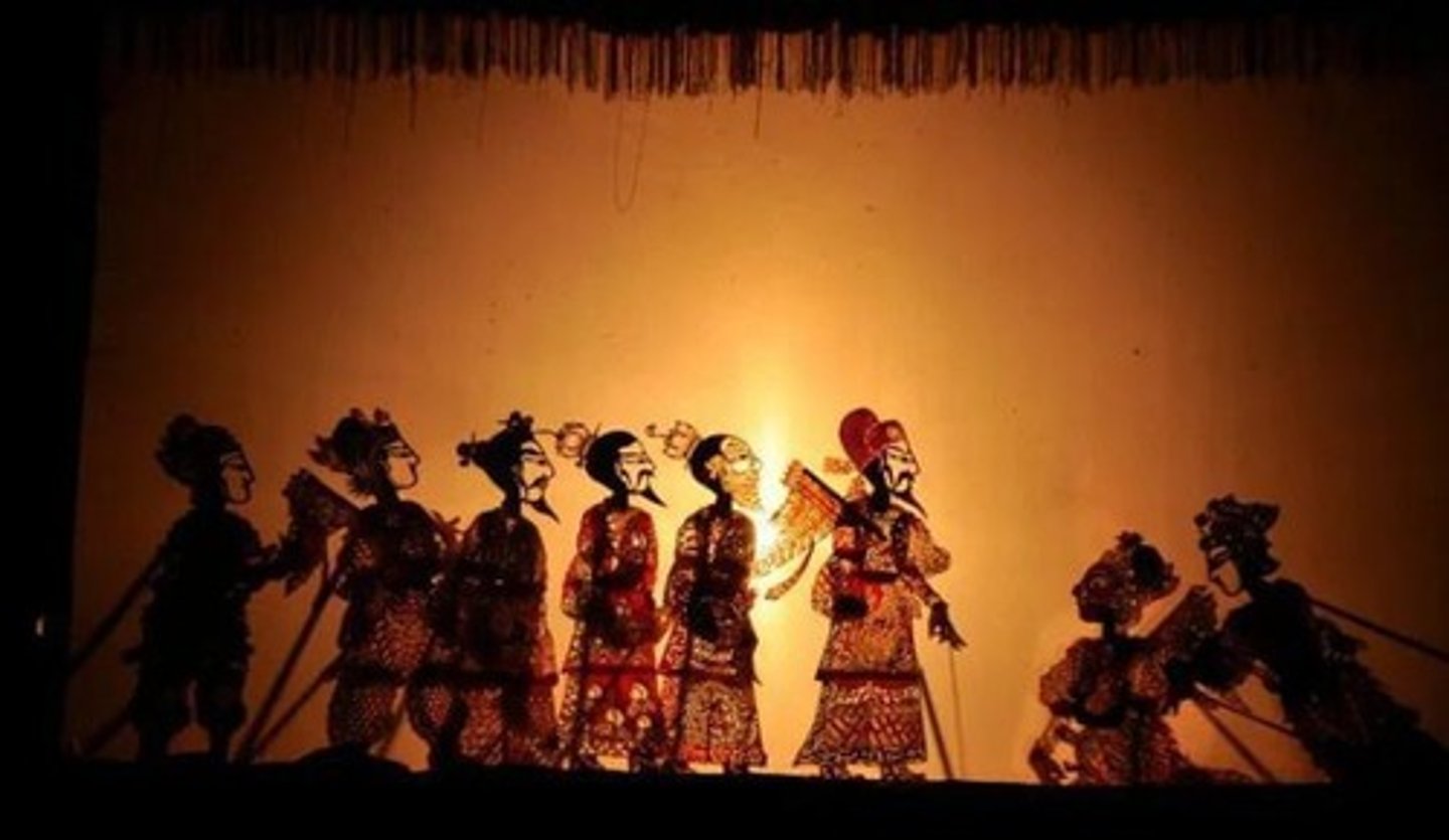 <p>múa rối bóng</p>