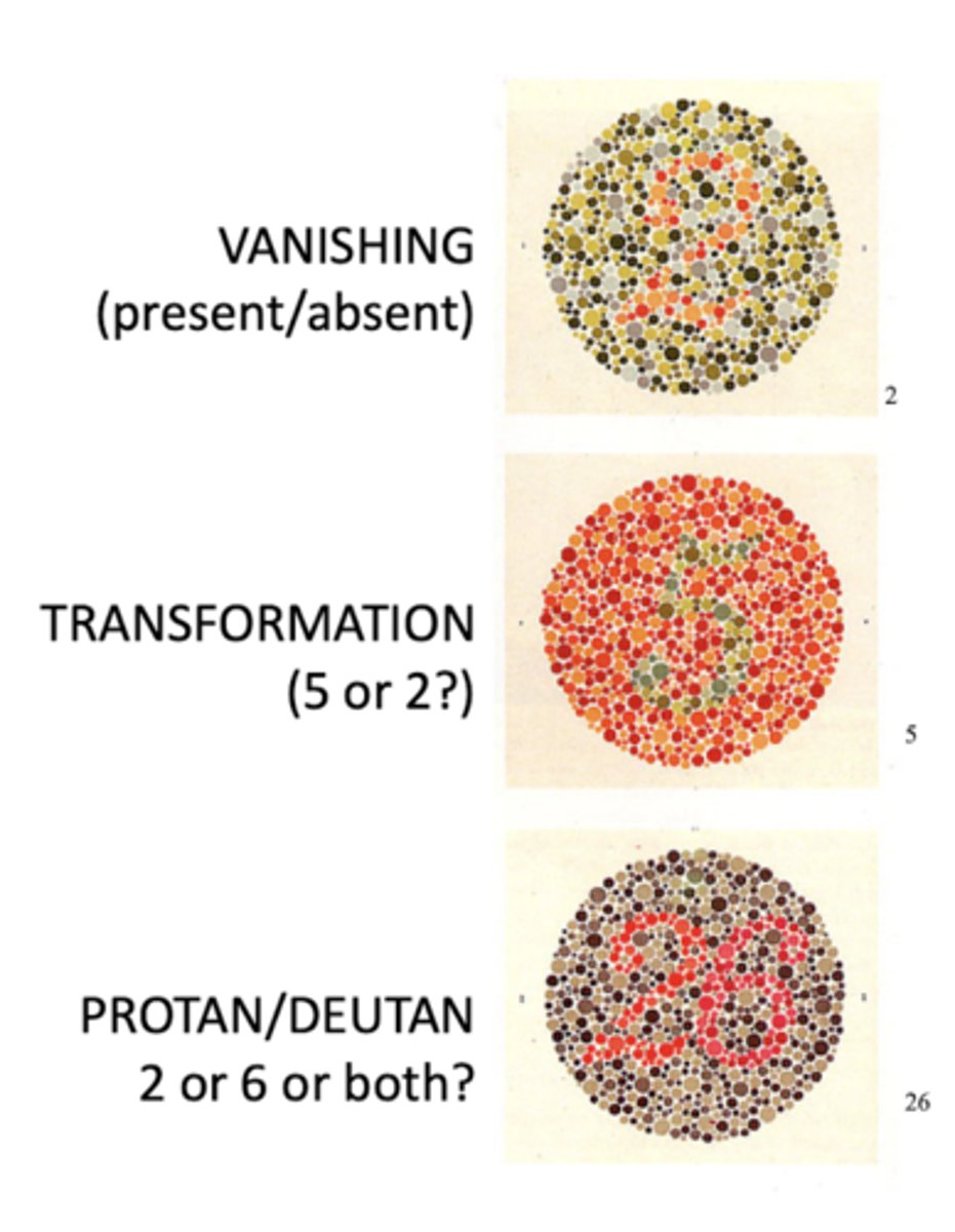 <p>1. vanishing (present or absent)</p><p>2. transformation (5 or 2)</p><p>3. protan/deutan (aka diagnostic)</p>