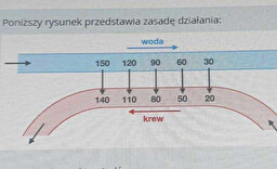 <p><span><span>rysunek przedstawia zasade dzialania</span></span></p>