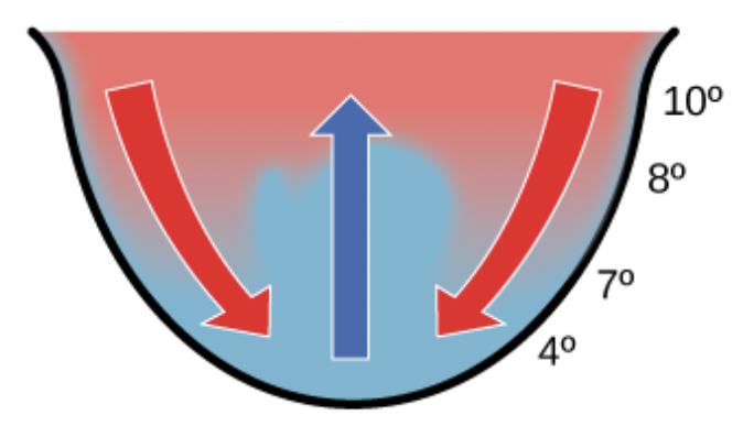<p>Choose the most appropriate description for this image.</p><p><span><span>ocean upwelling</span></span></p><p><span><span>bioaccumulation</span></span></p><p><span><span>seasonal turnover in a lake</span></span></p><p><span><span>biomagnification</span></span></p>