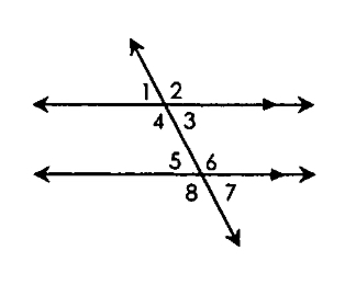 <p>∠3 and ∠5 are</p>