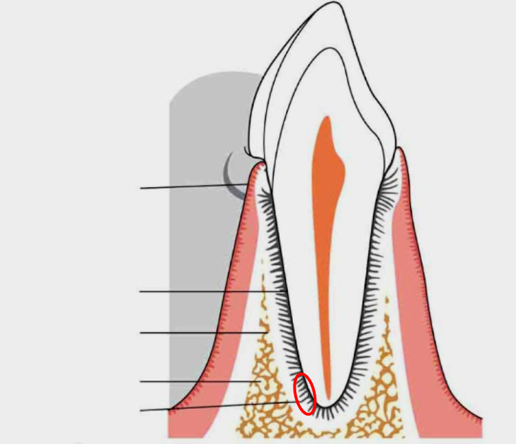 <p>What is this?</p>