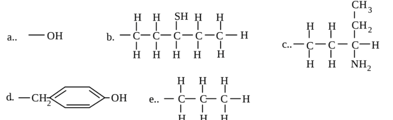 Which of the groups below is capable of only hydrophobic interactions? 

\

