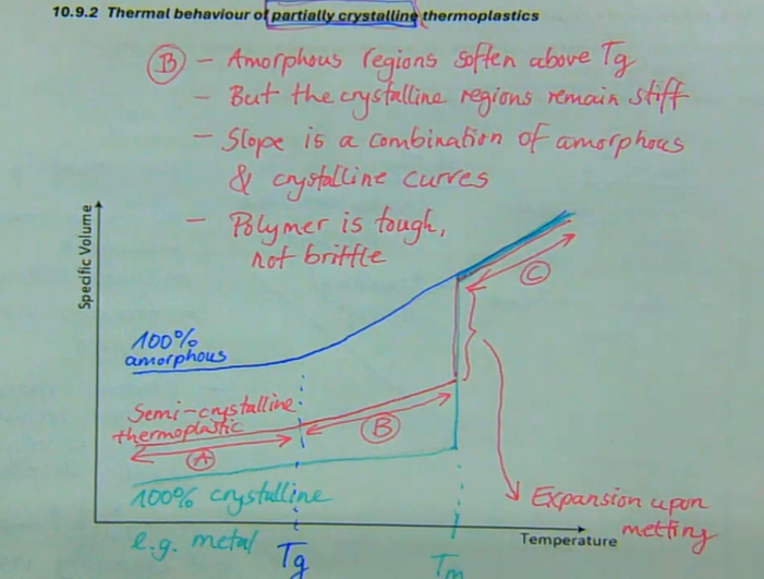<ul><li><p>A → hard, brittle, solid</p></li><li><p>B → amorphous regions soften above Tg, but the crystalline regions remain stiff, slope is a combination of amorphous and crystalline curves, polymer is tough, not brittle</p></li><li><p>C → at Tmelt, the crystalline regions transform into amorphous material with low viscosity</p></li></ul><p></p>