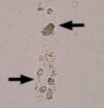 <p>What is this?</p>