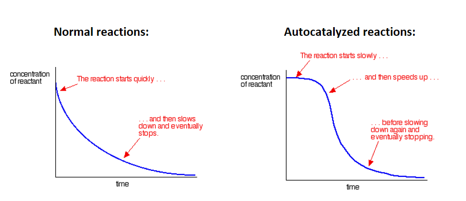 <ul><li><p>Autocatalysis occurs when the product of a reaction acts as a catalyst for it</p></li></ul><p></p><p><strong>In the reaction between manganate(VII) ions, MnO<sub>4</sub><sup>-</sup>, and oxalate (ethandioate) ions, C<sub>2</sub>O<sub>4</sub><sup>2-</sup>, the Mn<sup>2+</sup> ions produced act as a catalyst:</strong></p><ul><li><p>Half equations- C<sub>2</sub>O<sub>4</sub><sup>2-</sup> → 2CO<sub>2</sub> + 2e<sup>-</sup> and MnO<sub>4</sub><sup>- </sup>+ 5e<sup>-</sup> + 8H<sup>+ </sup>→ 2Mn<sup>2+</sup> + 4H<sub>2</sub>O</p></li><li><p>Overall equation- 5C<sub>2</sub>O<sub>4</sub><sup>2-</sup> + 2MnO<sub>4</sub><sup>- </sup>+ 16H<sup>+ </sup>→ 10CO<sub>2</sub> + 8H<sub>2</sub>O</p></li><li><p>This reaction is <strong>slow </strong>because the ions are <strong>oppositely charged</strong>, however, the production of <strong>Mn<sup>2+</sup></strong> ions provides an <strong>alternative reaction pathway </strong>with a l<strong>ower activation energy</strong>, increasing the rate:</p></li><li><p>4Mn<sup>2+</sup> + MnO<sub>4</sub><sup>- </sup>+ 8H<sup>+ </sup>→ 5Mn<sup>3+ </sup>+ 4H<sub>2</sub>O</p></li><li><p>2Mn<sup>3+ </sup>+ C<sub>2</sub>O<sub>4</sub><sup>2-</sup> → 2CO<sub>2</sub> + 2Mn<sup>2+</sup></p></li></ul><p></p>