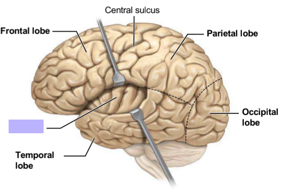 <p>What is the purple box?</p>