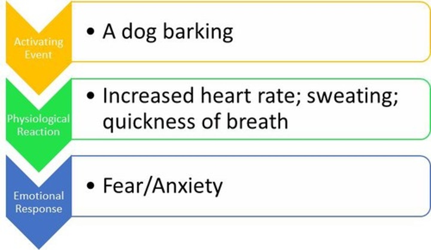 <p>- physiological activity precedes the emotional experience<br>- stimulus -&gt; physical reaction -&gt; emotion</p>