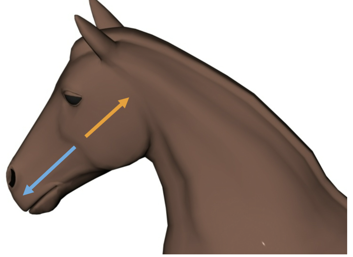 <p>What direction is the orange arrow pointing?</p>