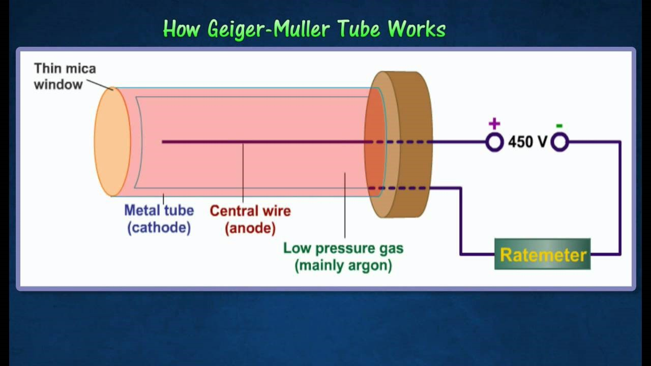 Grieg muller tube