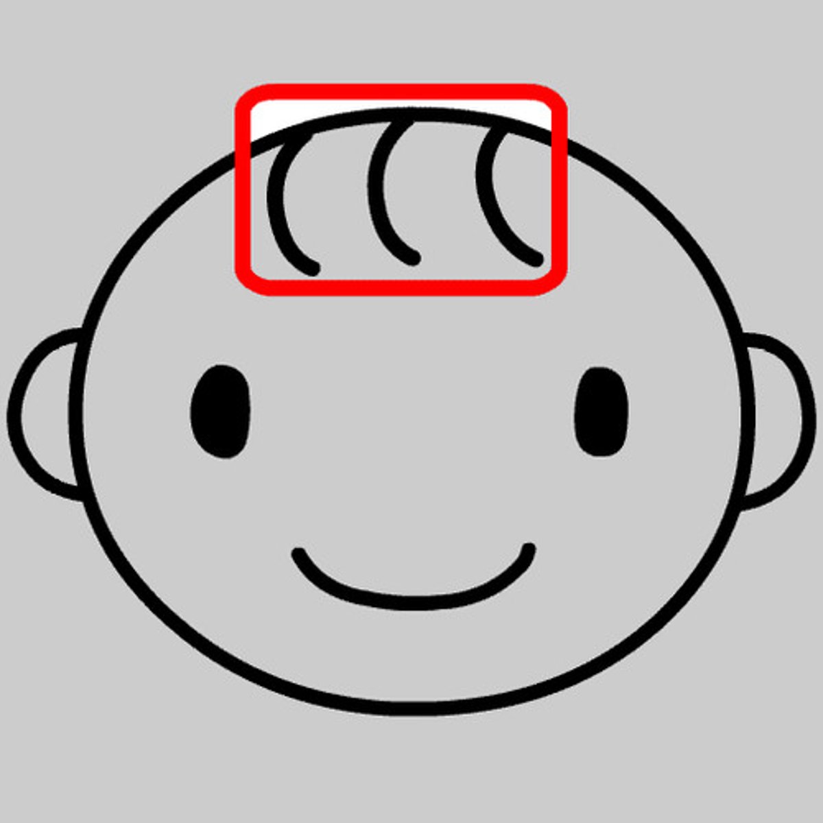 <p>hair (on head)</p>