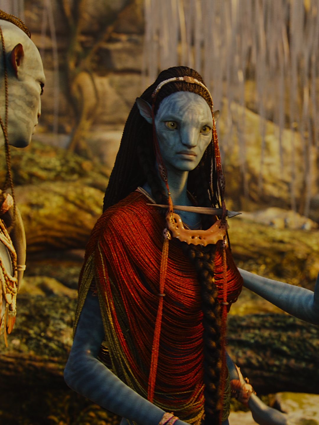 <p>WHAT IS HER NAME</p>