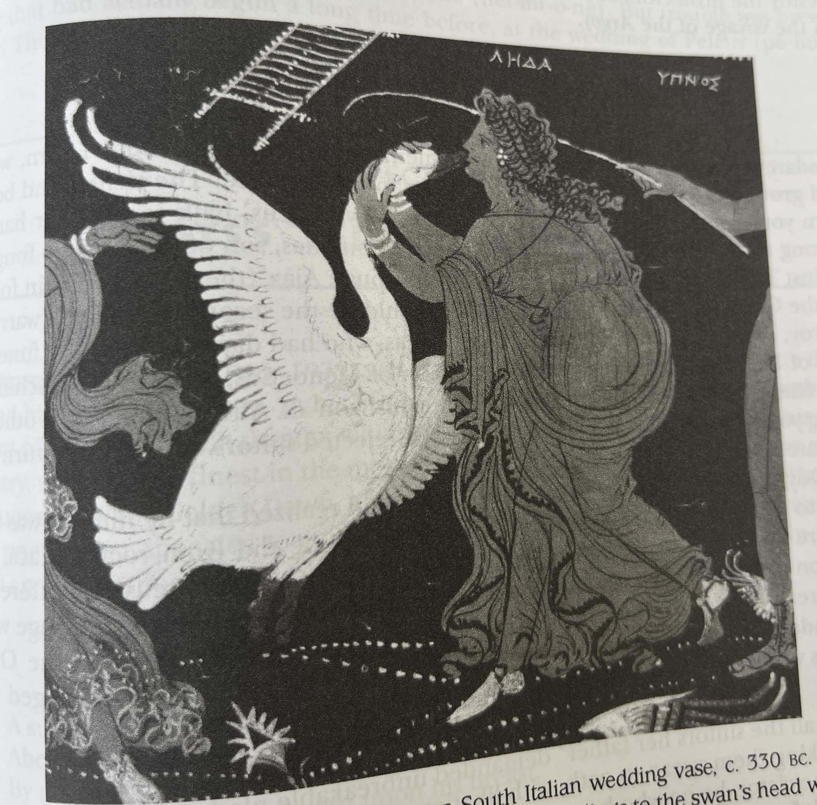 term image