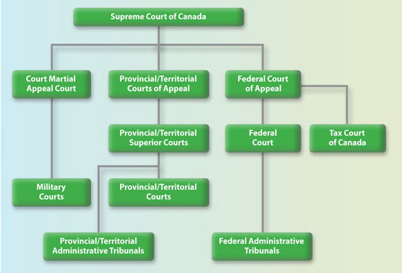 <ul><li><p>Deals with matters in the federal realm (national security, defence, criminal law, immigration, intellectual property).</p><ul><li><p>Federal court of appeal ></p></li><li><p>Federal Court and Tax Court of Canada (tax matters).</p></li></ul></li></ul><p></p>