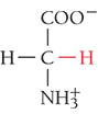 <p>Gly, G</p><ul><li><p>nonpolar</p></li></ul><p></p>