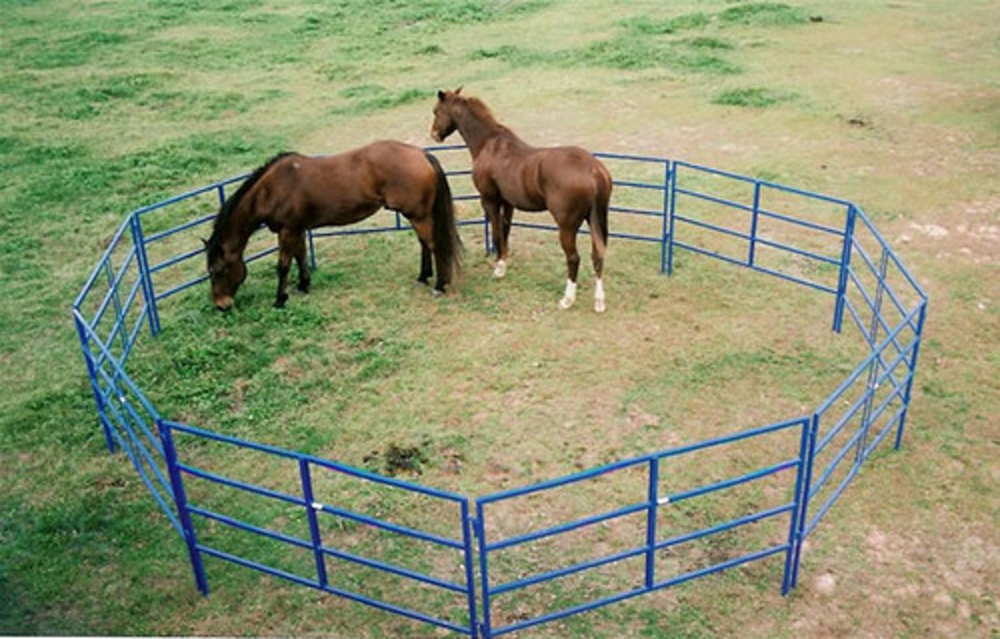 <p>farmyard/animal pen</p>