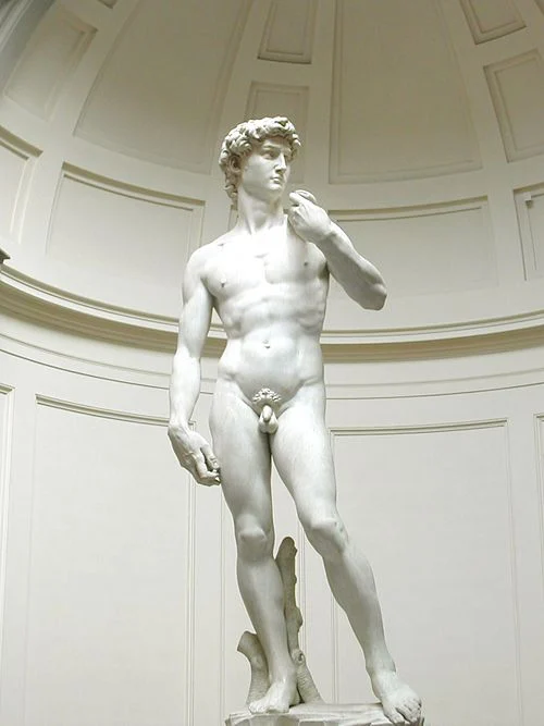 <ul><li><p>having weight on one leg and the other slightly bent.</p></li></ul><p></p><ul><li><p>hips, torso, and head slightly tuned to one side.</p></li></ul><p></p><ul><li><p>looked as if the sculpture was holding a spear and shield. </p></li></ul><p></p>