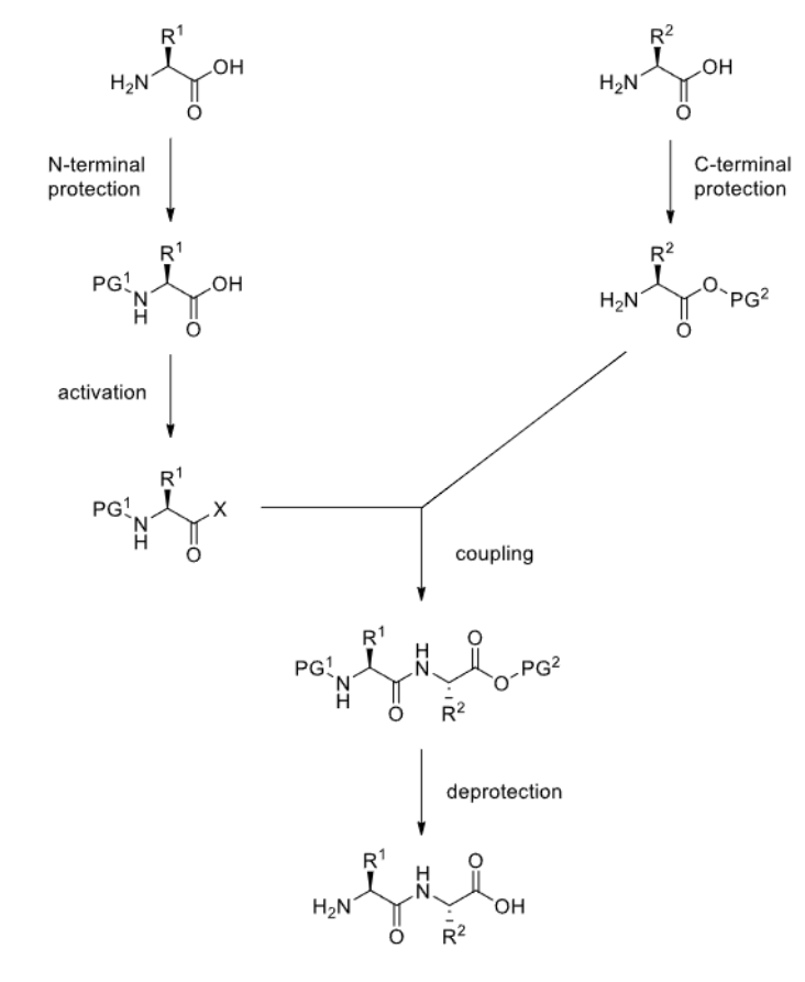 <p>Where PG = protecting group</p>