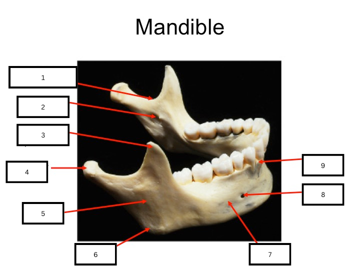 <p>1</p>