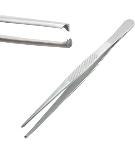 <p>Rat tooth forceps</p>