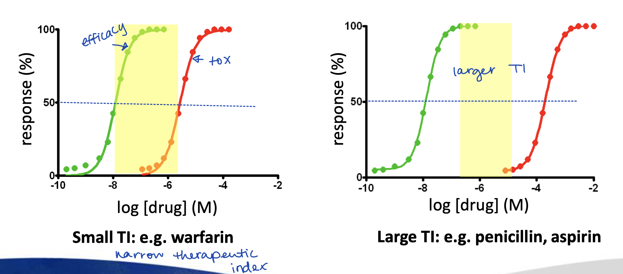 <p>The ratio of the drug dose that causes an unwanted (toxic) effect to producing a wanted (therapeutic) effect </p><p>TI = LD50/ED50 </p>