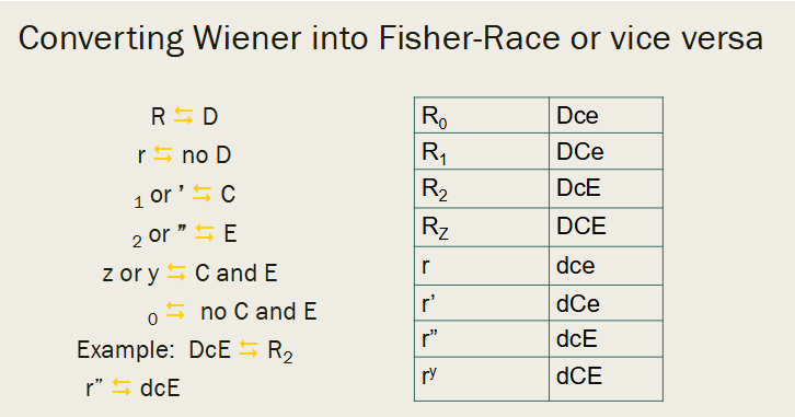 <ul><li><p>R = D / r = no D</p></li><li><p>subscript 1 or ‘ = C</p></li><li><p>subscript 2 or ‘‘ = E</p></li><li><p>subscript z/y = C and E / subscript 0 = no C and E</p></li><li><p>ex: DcE = R<sub>2</sub> ; r’’ = dcE</p></li></ul><p></p>