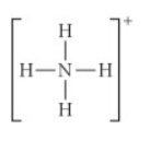 <p>Answer: see attached image for correct answer<br><br>Explanation:<br>when a compound is positively charged we subtract 1 from the total electron count. This allows us to form an octet by subtracting 1 from nitrogen in this case.</p>