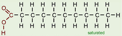 <p>A fatty acid in which all carbons in the hydrocarbon tail are connected by single bonds, thus maximizing the number of hydrogen atoms that can attach to the carbon skeleton.</p>