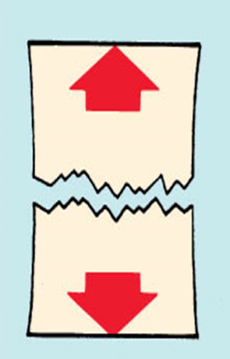 <p>In the figure shown below, if the right hand is pulling up and the left hand is pulling down, the red arrow is indicating joint compression force at the ankle joint.<br>(T or F)</p>