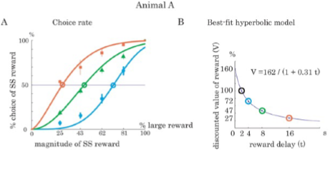 <p>when the delay is long (16,8,4 sec) animal prefers SS (2 sec) reward > 50%</p><p>when delay is short enough animal prefer LL reward; <50)</p><p>the point where prob of choosing SS 50% = point of subjectice equivalence / indifference point</p><p></p><p>overall, when delays long even if reward large, monkey prefers SS. but if large reward only delayed by a little then monkey will take LL</p>